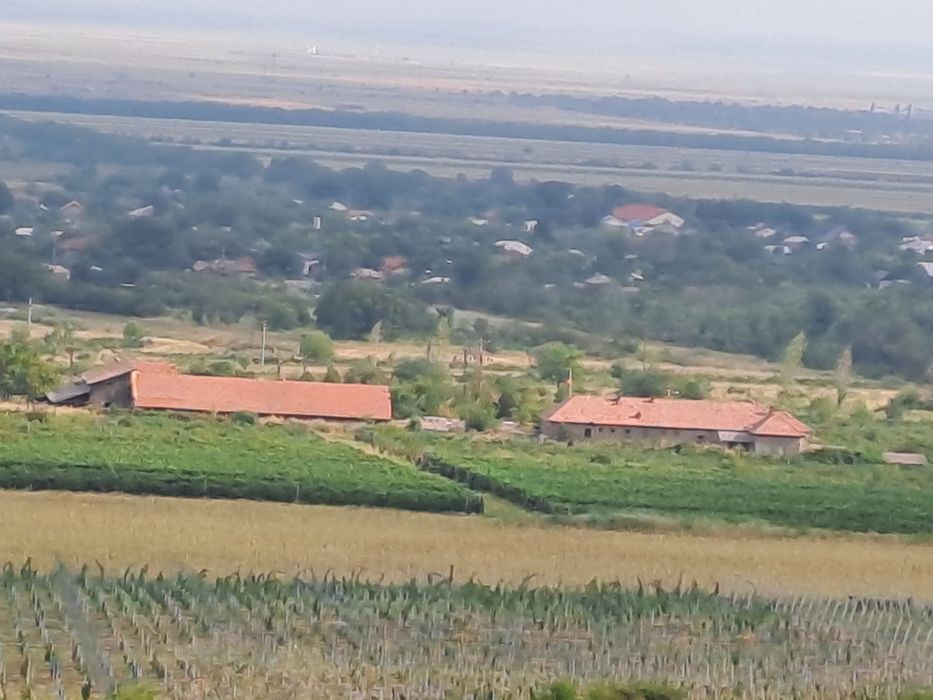 Vand proprietate aflata pe Drumul Vinului in com. Pietroasele, Merei