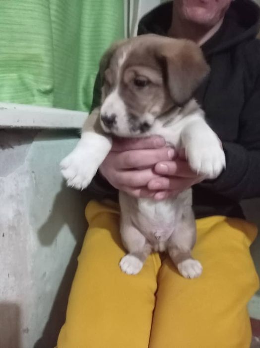 В самые самые добрые ручки