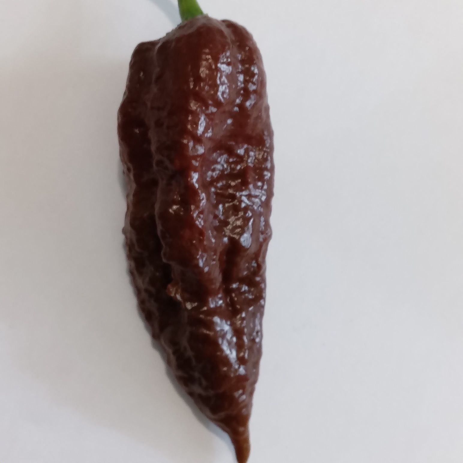 Vând praf de ardei iuți Carolina Reaper, Habanero, Moruga, BhutJolokia