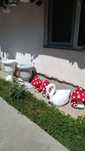 Ornamente de gradina