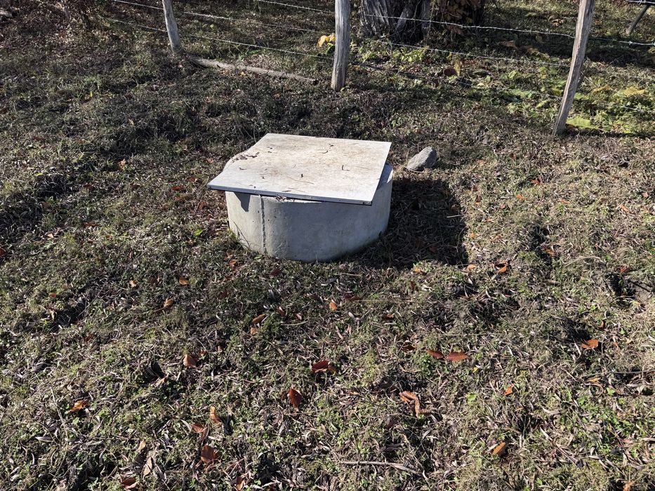 Teren intravilan Bradulet (Ungureni) , imprejmuit, langa padure