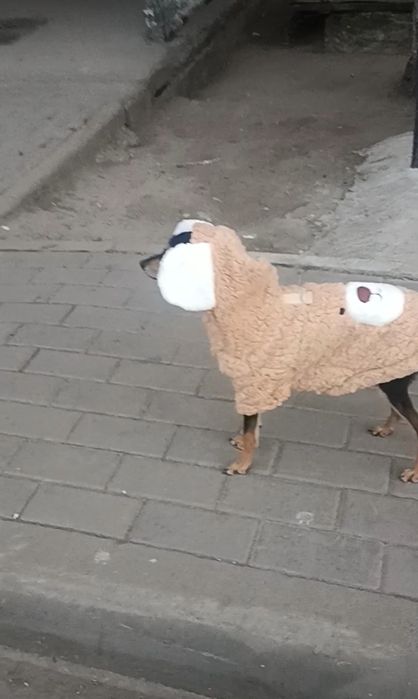 Продается кофта на собаку