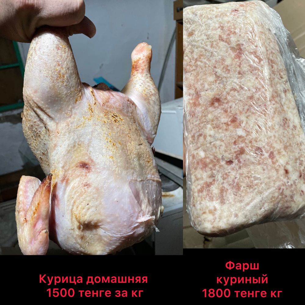 Курица домашняя, фарш куриный