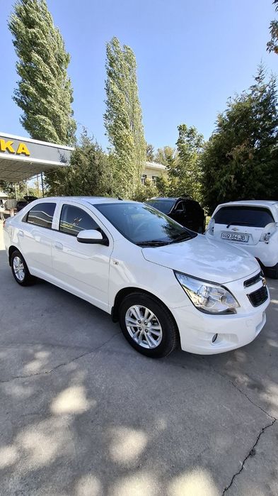 Kobalt 2024 srochna metan gaz tozza