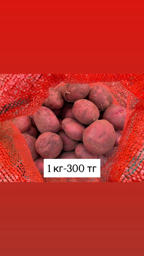 Домашняя картошка