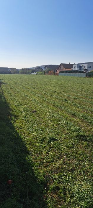 Lucernă verde  70ari în Târgu-Mureș