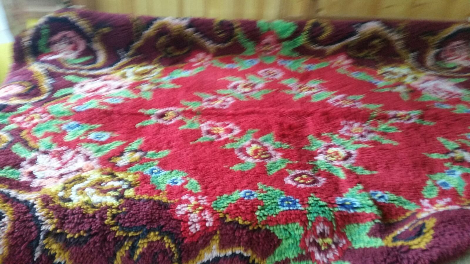 Китеник,       нов