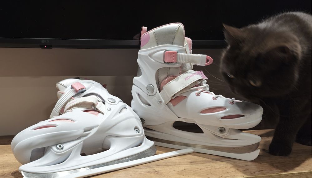 Коньки детские Nordway julia