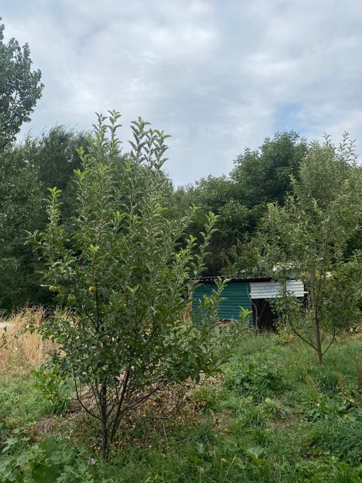 Срочно продается дом