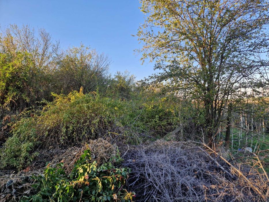 Refugiu la 1h de Bucuresti - 60m deschidere la apa, casa sau glamping