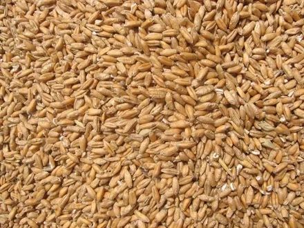 Grau de vanzare productie 2025
