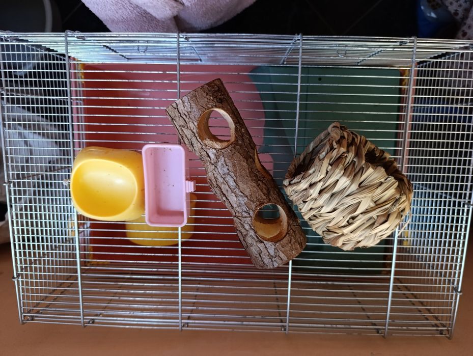 Cusca hamsteri cu accesorii
