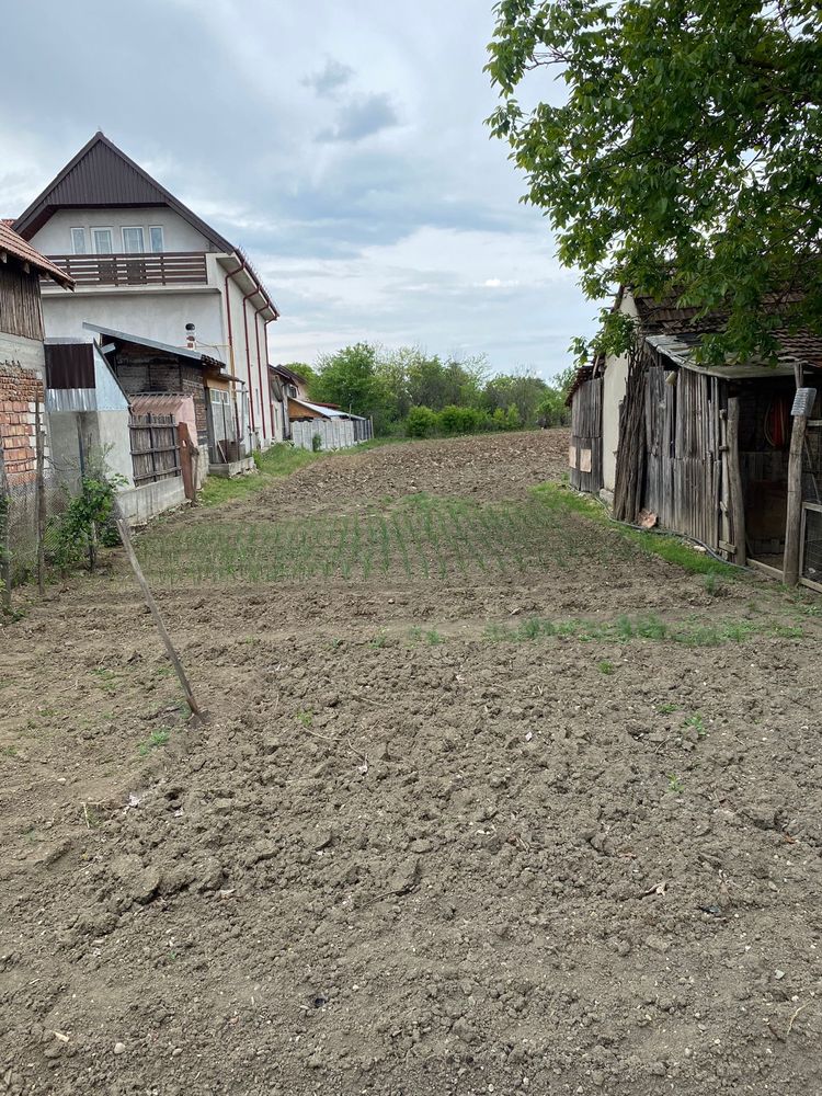 Teren intravilan 1547 mp strada Nifon Criveanu, Slătioara