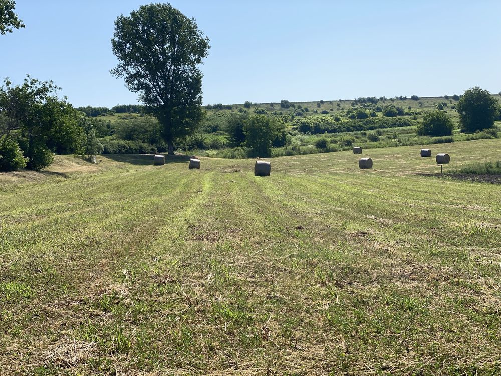 Baloti rotunzi lucerna si fân 1.40x1.20