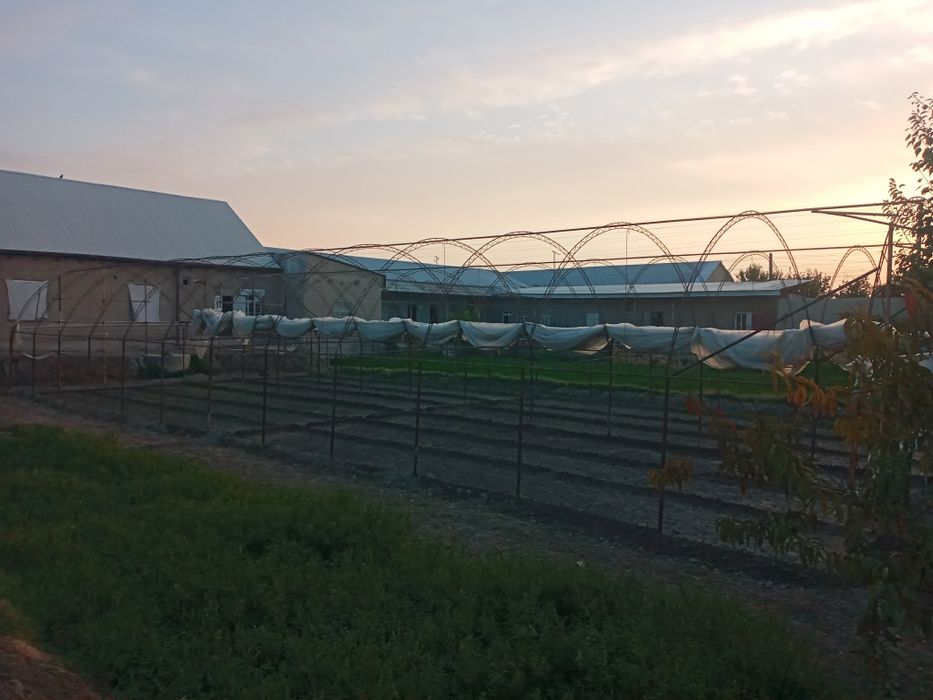 Холати яхши келишилган холда