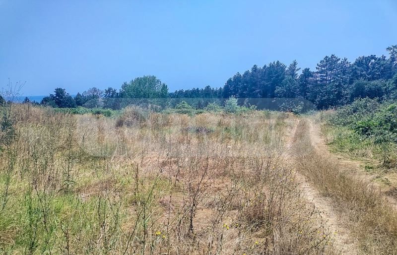 Продава се Парцел в Бяла - 6376 кв.м за 45 €/кв.м - Снимка #4