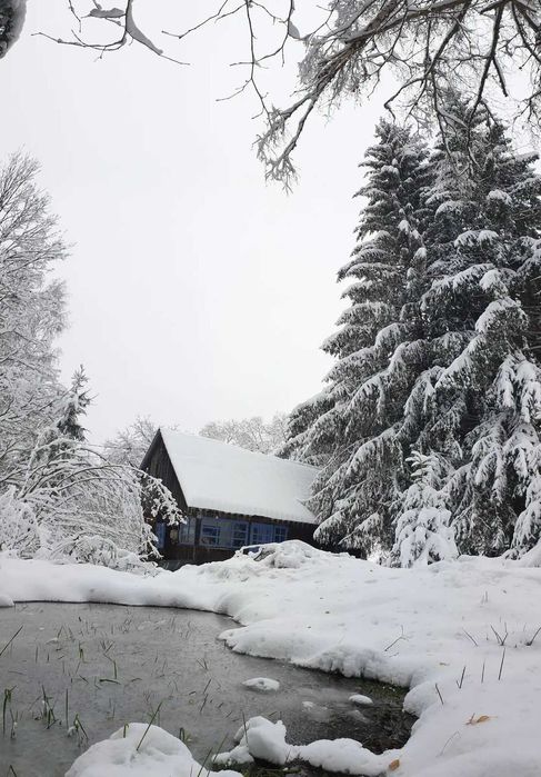 Cabana in Rasca-Belis(Cluj), libera Revelion/Craciun