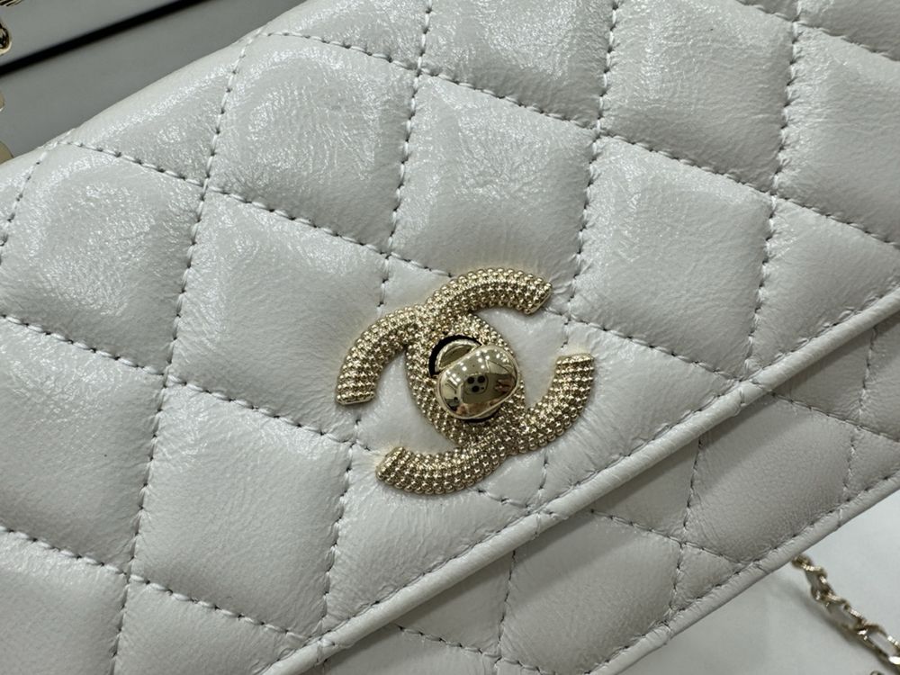 Geanta Chanel 19