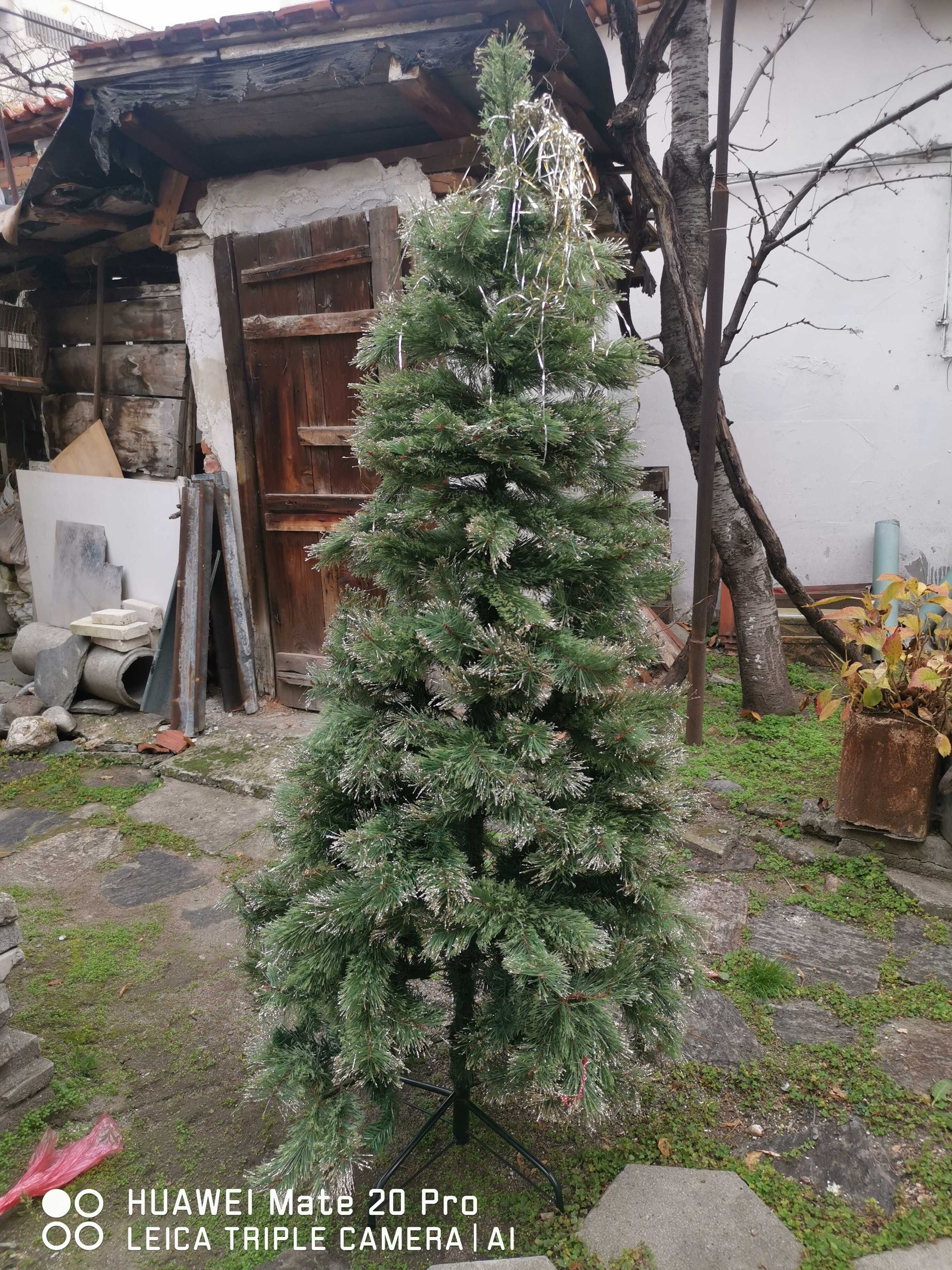 Коледна елха 180 см