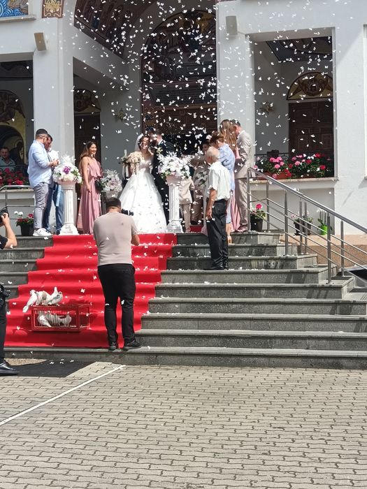 Porumbei evenimente Timișoara