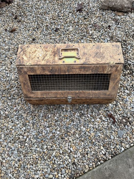 Cutii de transport iepuri