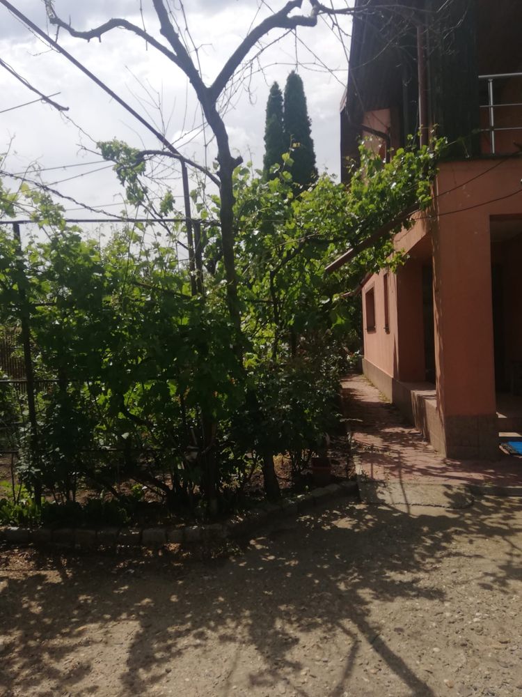 Vila P+1 Vanatori la 163000 euro