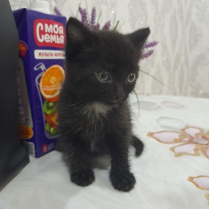 Очаровательные малыши, в самые Любящие ручки!!!