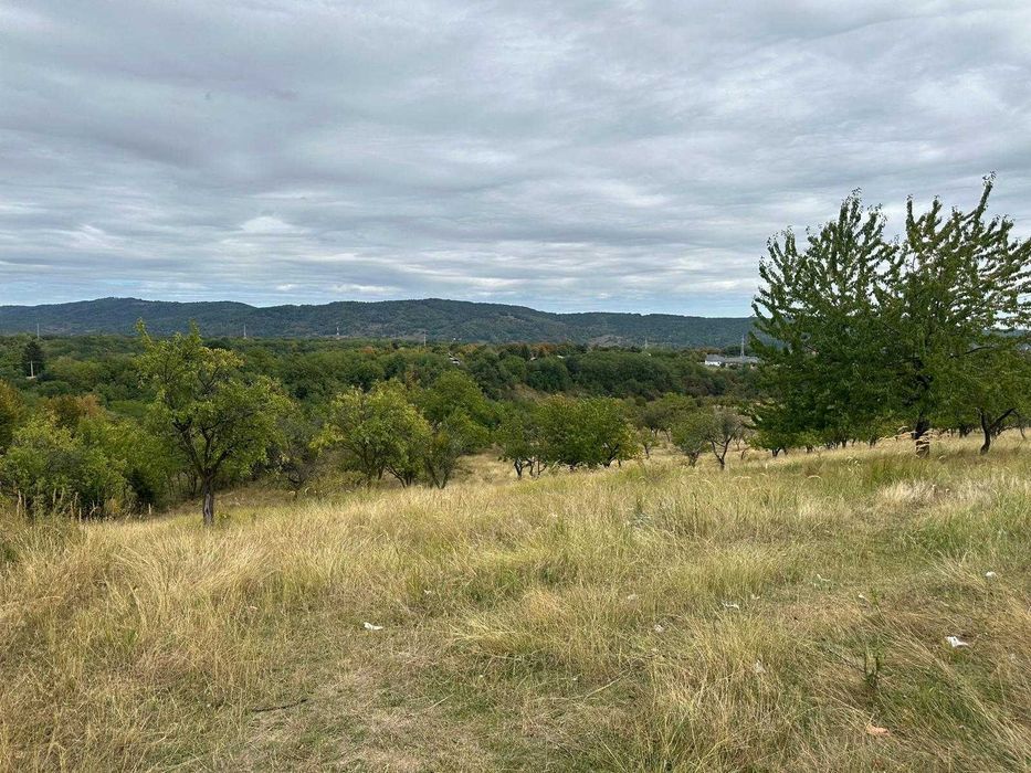 Teren  Valenii de Munte str. Berevoiesti 37 m desc, vedere panoramica.