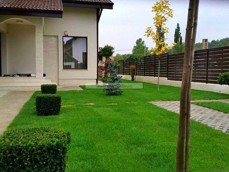 Pământ gazon gradina florii pomii mranita