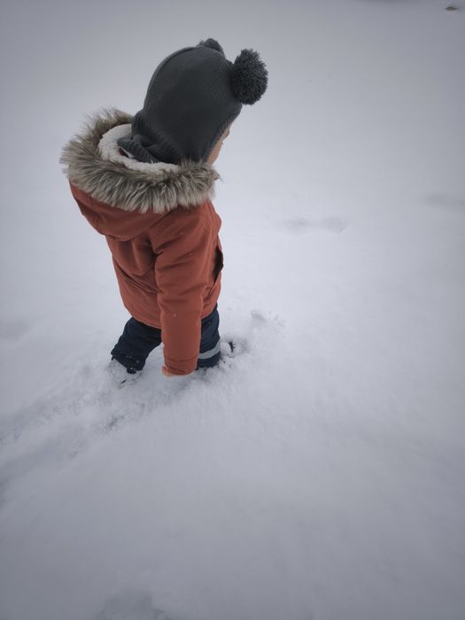 Donație papagal pentru un băiețel