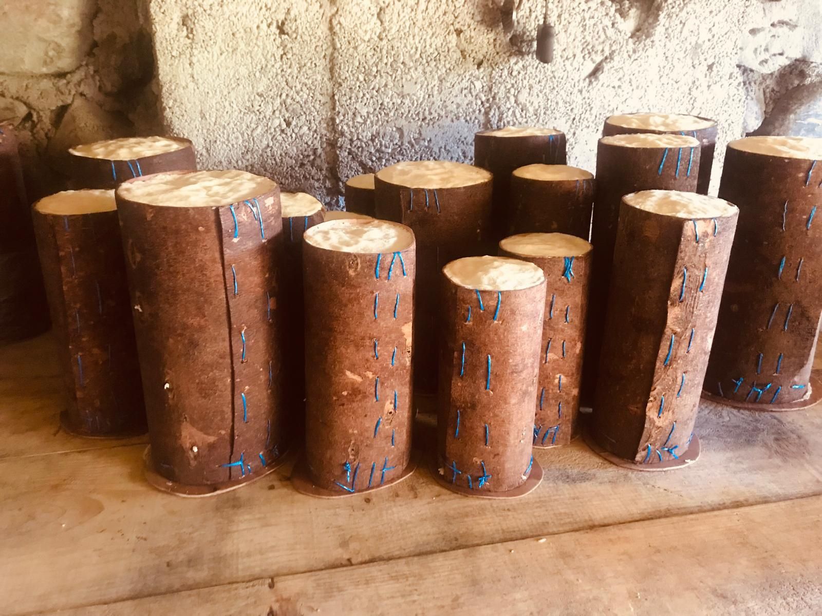 Branza de burduf în coaja de brad