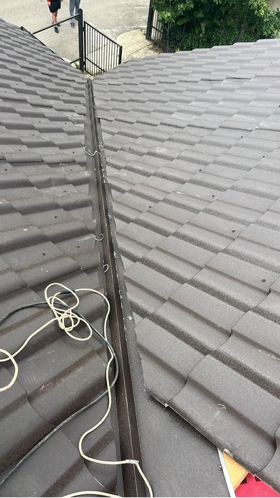Scuter electric Shangling