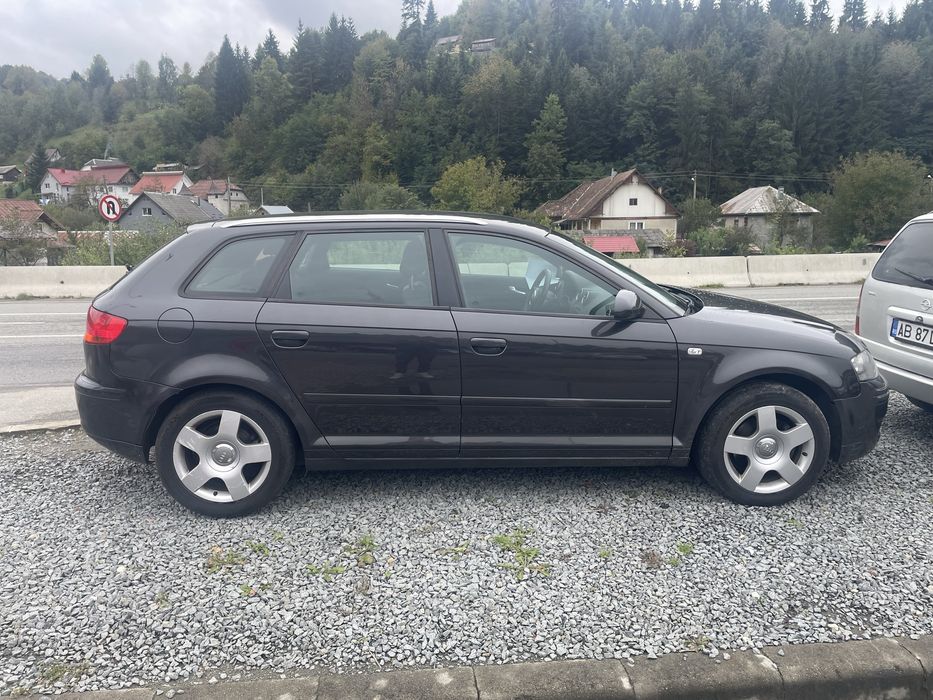 Vand Audi A3 8P 2007