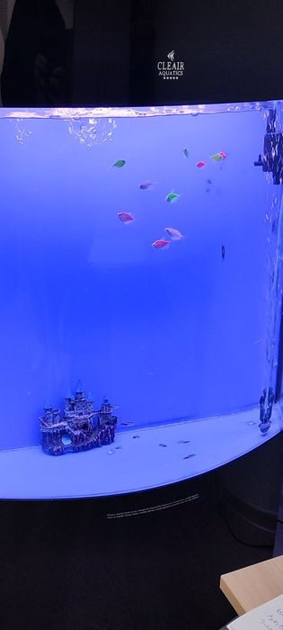 Аквариум с рыбками
