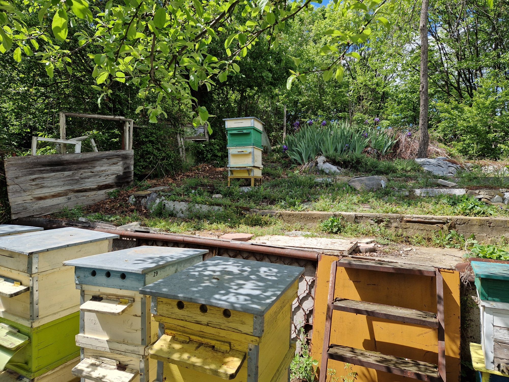 Пчелни кошери. Пчеларско оборудване