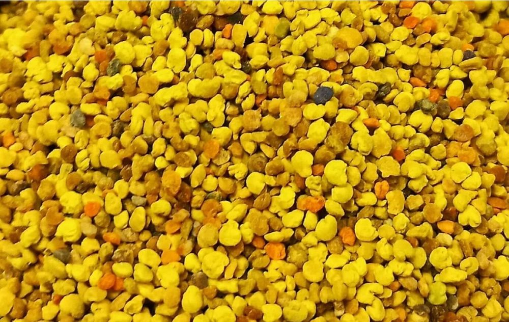 Продам пыльцу цветочную, пчелиную