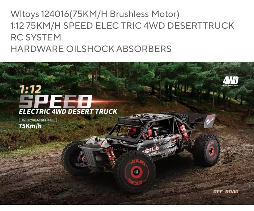 RC masinuta electrica