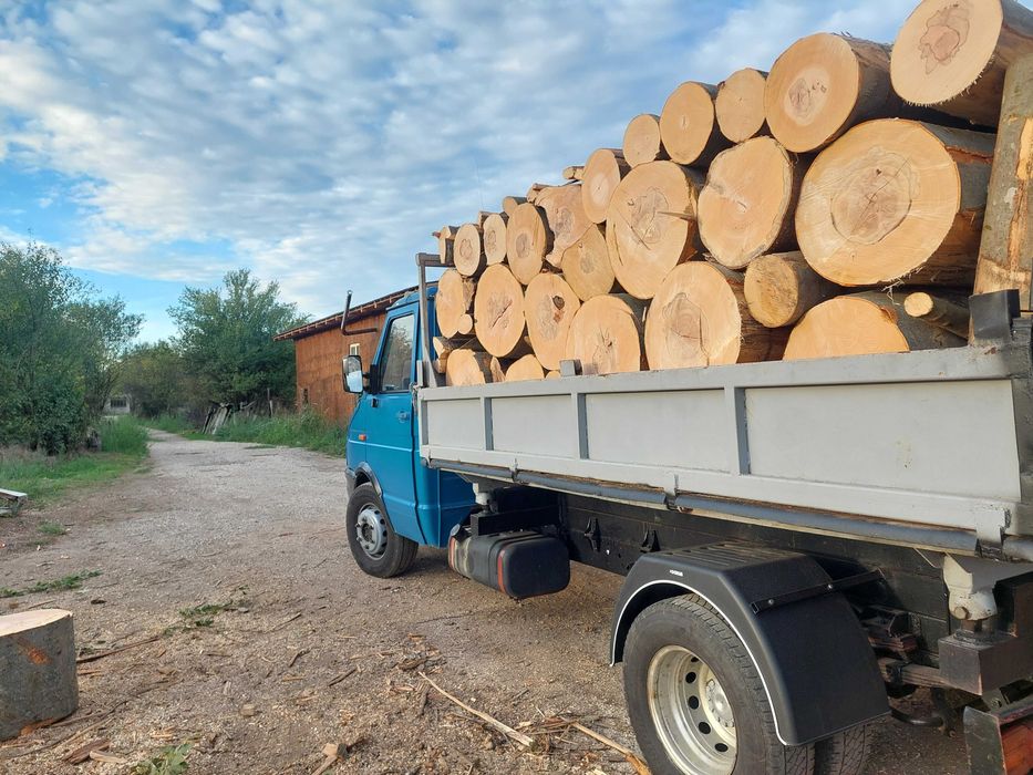 Lemne de foc timis esența tare