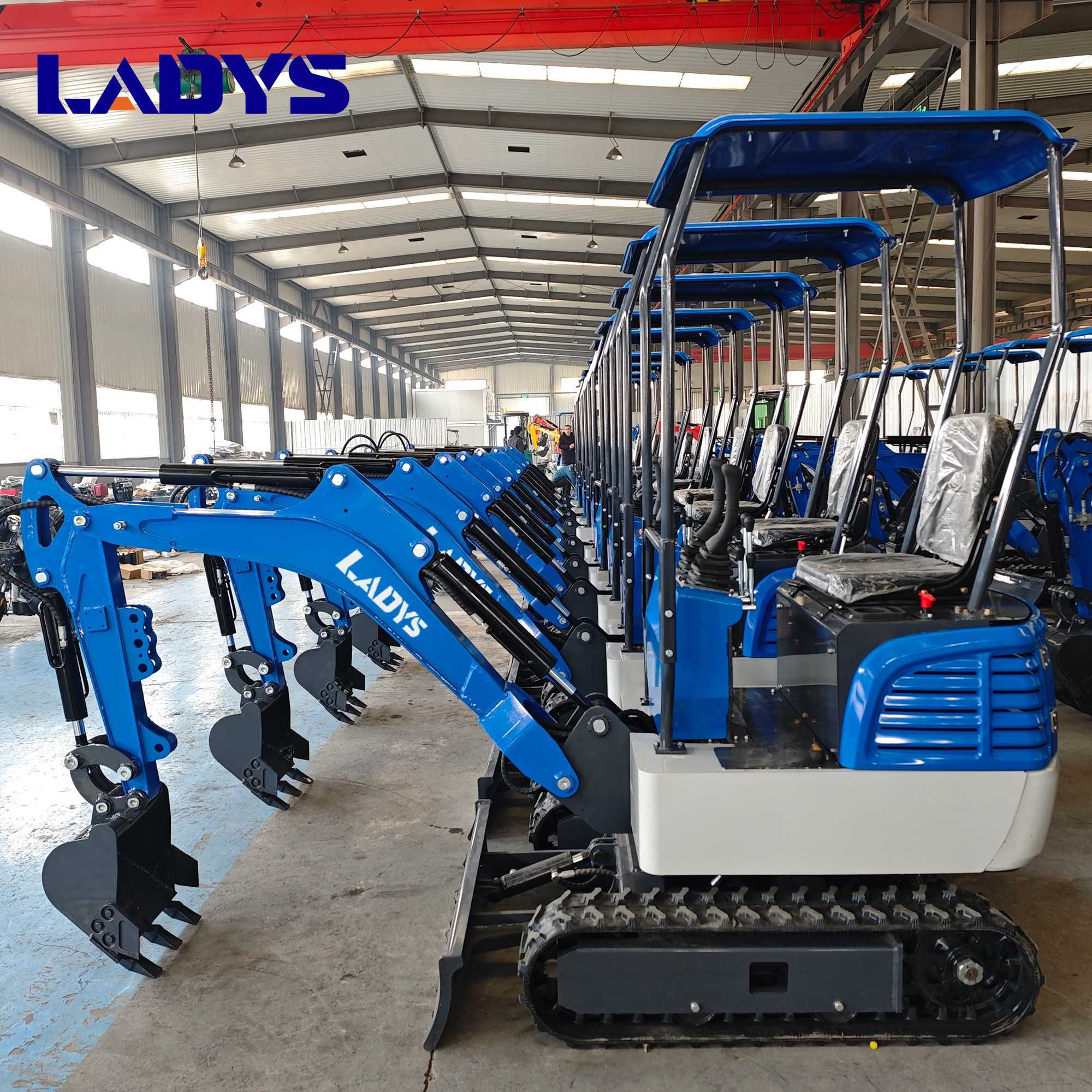 Мини багер LADYS DY12 за продажба, директни продажби от фабриката