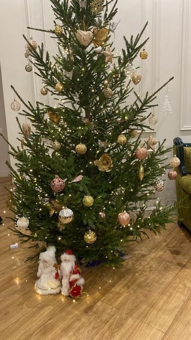 Елка живая ель новогодняя
