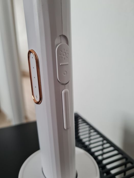 Planta de muște electrică