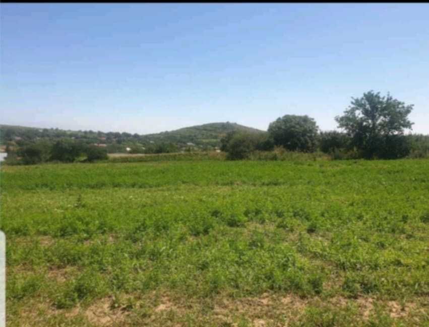 Ocazie. Teren 7000mp intravilan, sat Telita, Frecatei, jud. Tulcea.