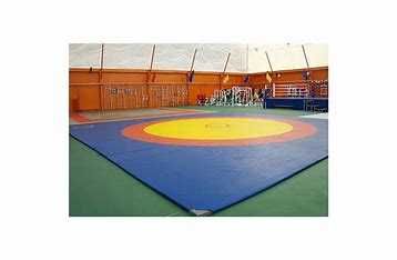 Борцовский ковер (без матов), 12х12м супер цена