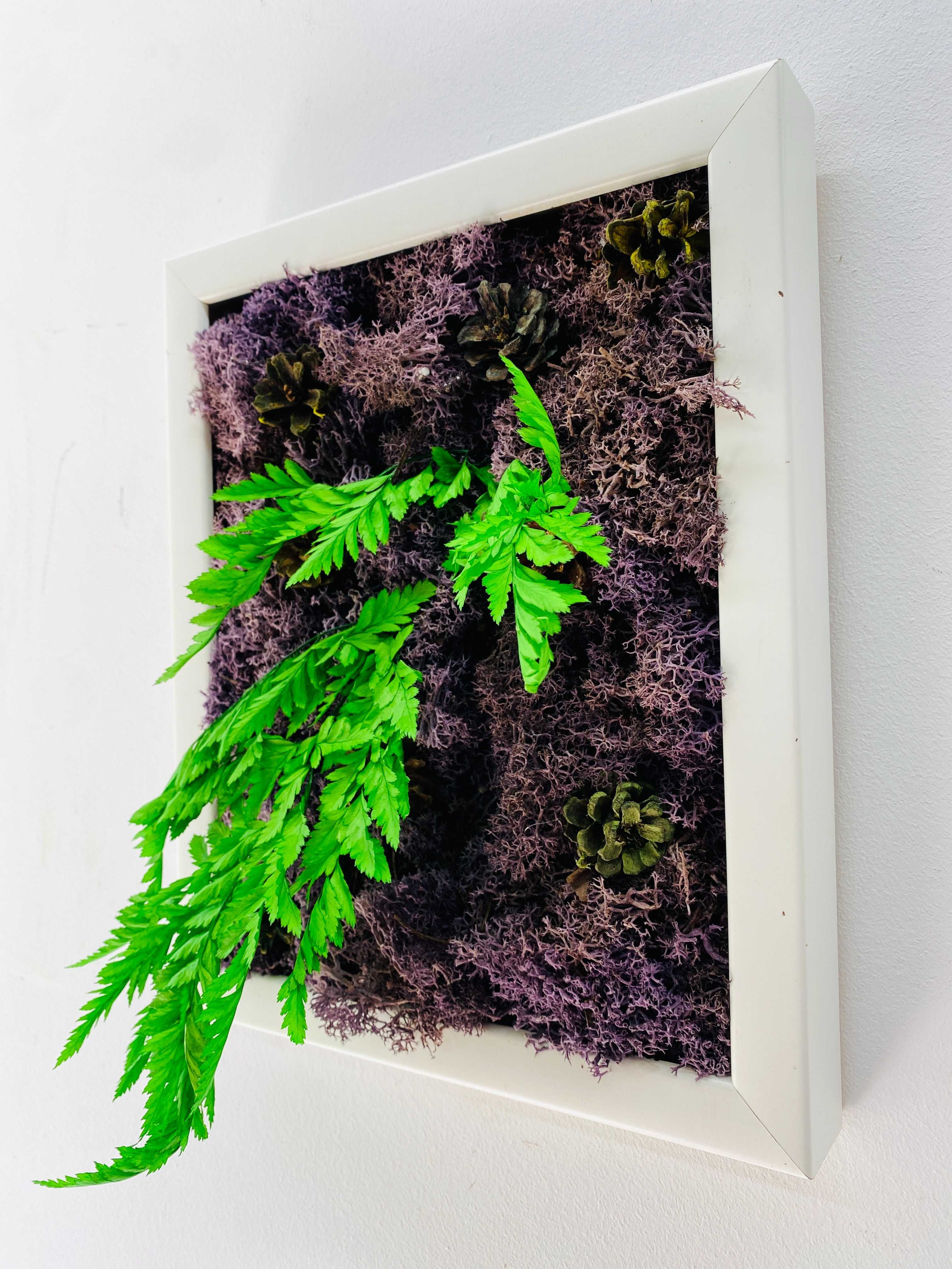 Tablou "Raiul Plantelor" | 23x28 cm