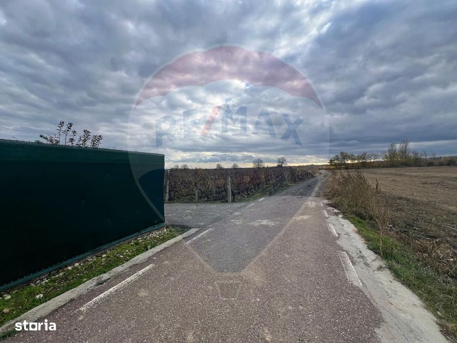 Teren intravilan 2727mp Carligele / Strada Tulceanu