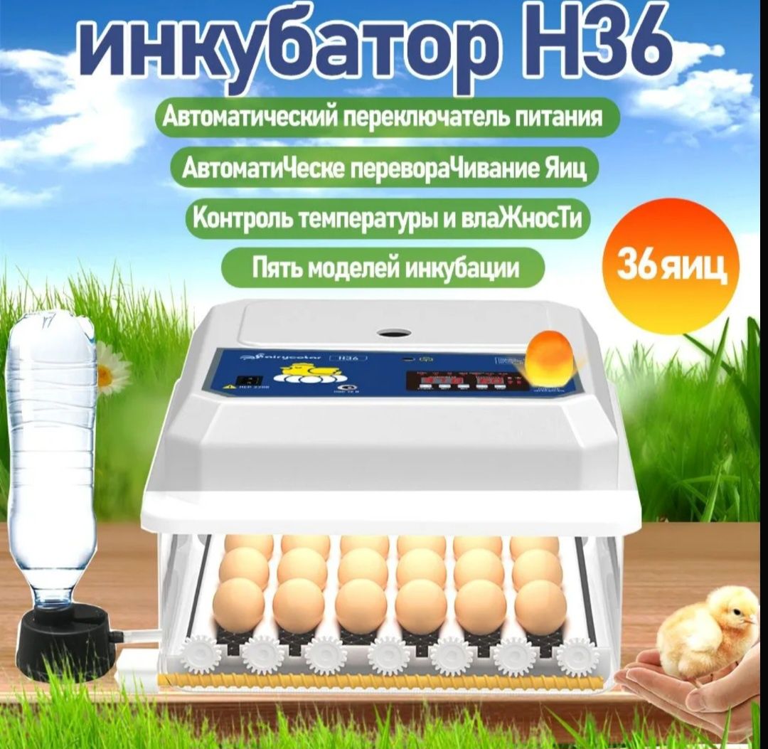 Инкубатор, два типа питания АС220V 12V /  DC 12V
