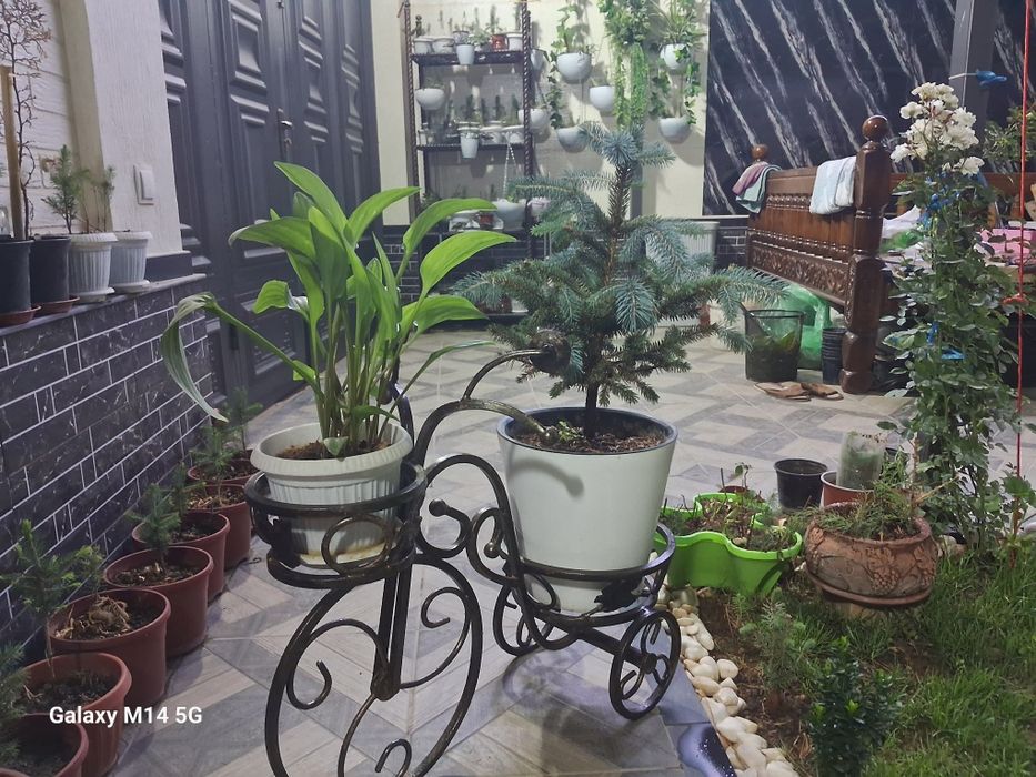 Подставка для цветов!!!