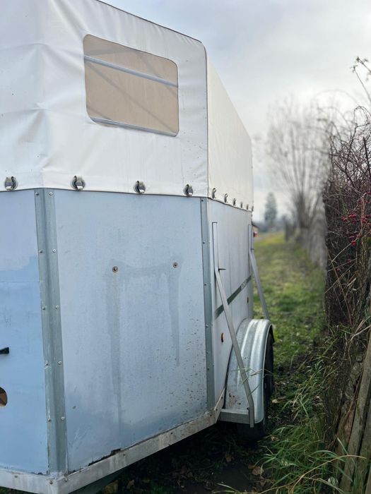 Remorca Transport animale Bolmert