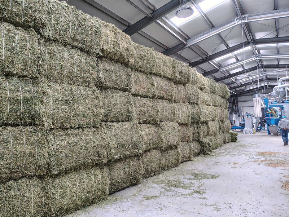 Peleți și baloți de lucernă.