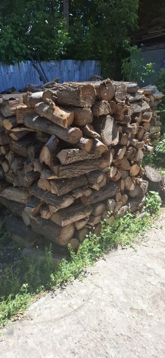 Продам дрова карагач